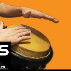 CONGA & PERCUSSION RECORDING (FUNK POP RHYTHM)