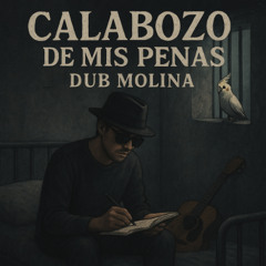 Calabozo de mis penas | Olimpo Cardenas Cover | Dub Molina En Vivo