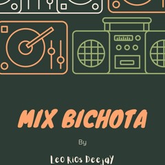 Mix Bichota [LeO RiOs DeejaY]