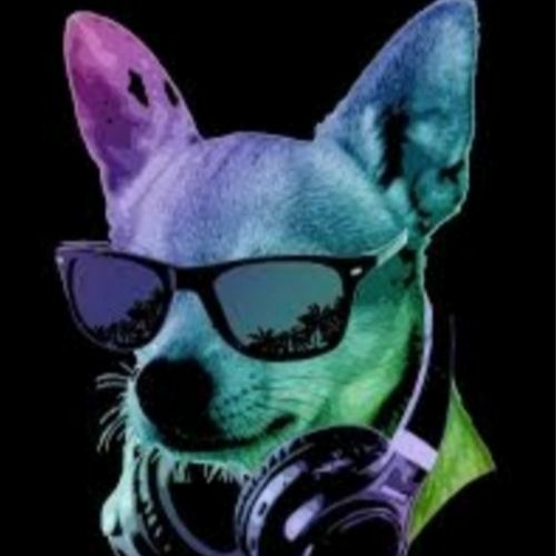 Dog Ate My Disco - Volume 5 (Mo-Fo's Stay Alert! Tech House Pandemix)