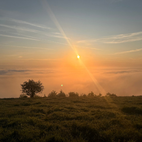 Mini Ecstatic Dance Mix