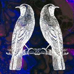 Morning Birds (Original Pigeon track)