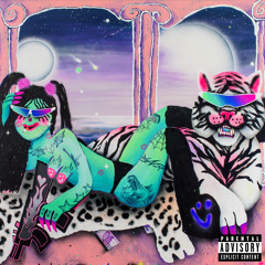 DON'T TOUCH MY JACKET