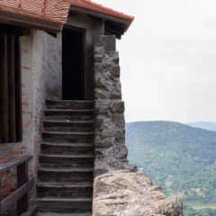 Vietórisz kódex (chorea polonica)