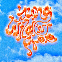 Yung Wild ‘N Free (feat. Lil Distraught)