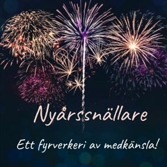 Nyårssnällare 7