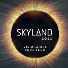 Visionaires Skyland 2020