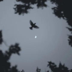 Alone ft. FEVVI