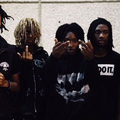 REDBONE FT O2X Sped up