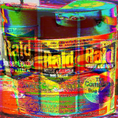 raid (warset)