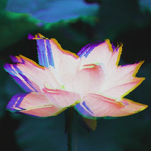 bloom (instrumental)