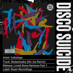 Cabizbajo - Shalashaska (Niv Ast Remix) [Roam Recordings]