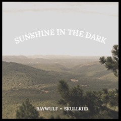 Sunshine In The Dark Feat. SkullKiid (Prod. grayskies)