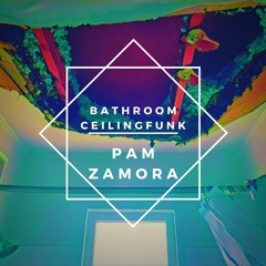 Bathroom Ceiling