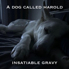A Dog Called Harold Slowed Down