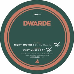 Dwarde & Tim Reaper - Night Journey VIP (Unmastered Preview)