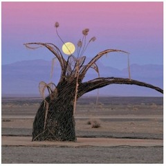 Ubuhlanti - Friday Sunset @ AfrikaBurn 2019