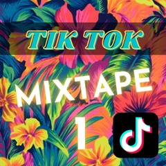 TIK TOK MIX TAPE 1 - MY & TAMIL INDEPENDENT ARTISTS MELODY HITS