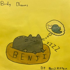 Birdy Dreams