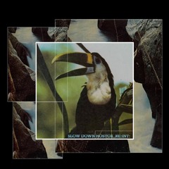 Потанцуем, а хули нет?