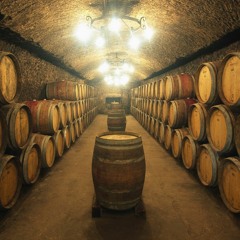 BODEMIX 001 ★★ BAR BODEGALPES @belleplagne ★★ Lolec summer 2©21