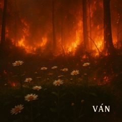 Ván