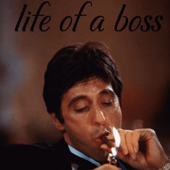life of a boss (prod.bullethx)