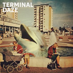 Kindsight - Terminal Daze