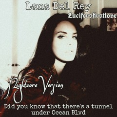 lana del rey ♡ did you know that there's a tunnel under ocean blvd | slowed