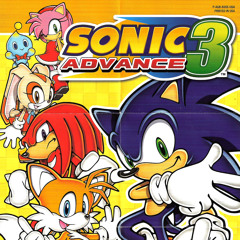 Raven - SONIC DASH/Green Hill Zone prod. Jairtheshadow