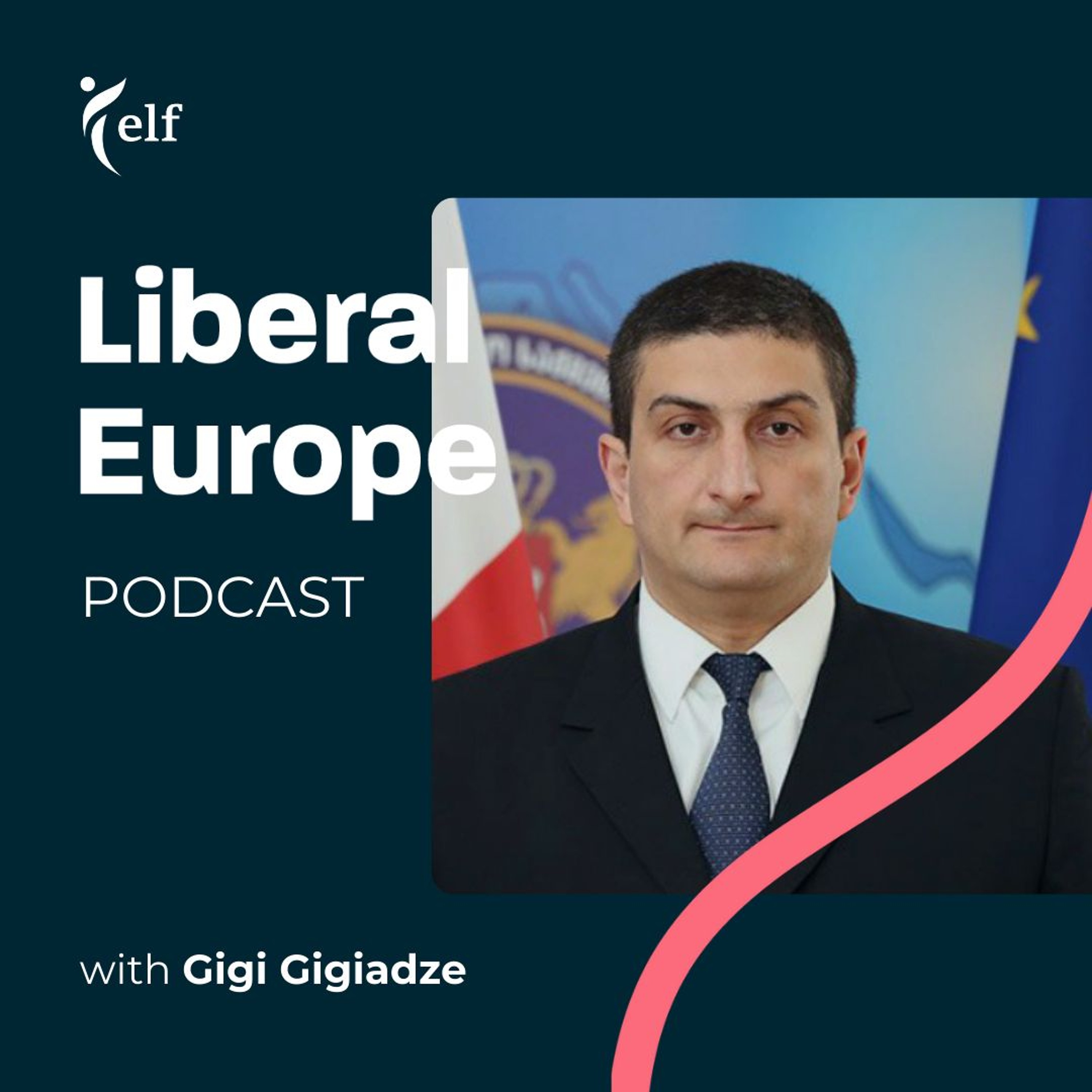 Georgian Elections: What is at stake? - Interview with Ambassador Gigi Gigiadze episode artwork