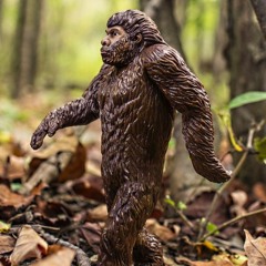 Monkey Business 2020