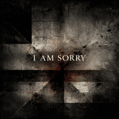 I AM SORRY