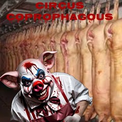 Circous Coprophagous