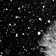 forgotten snow
