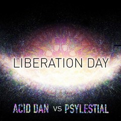 Liberation Day (Original Mix)