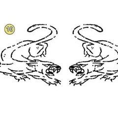 ‎ ‎ ‎ TEC - #KNOTHEYMAD