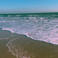 The Echos of a Sunlit Shore
