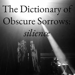 The Dictionary of Obscure Sorrows: silience // Zöllner-Roche Duo Live