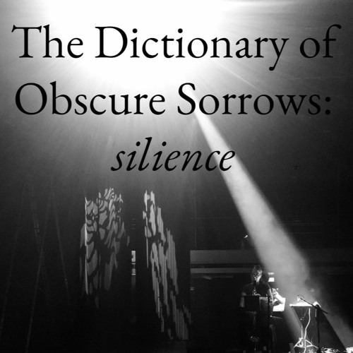 The Dictionary of Obscure Sorrows: silience (2021) // Zöllner-Roche Duo Live