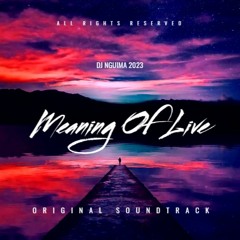 Meaning of life-Dj Nguim@ Original soundtrack 2023