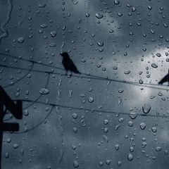 the end of days (prod. metlast)