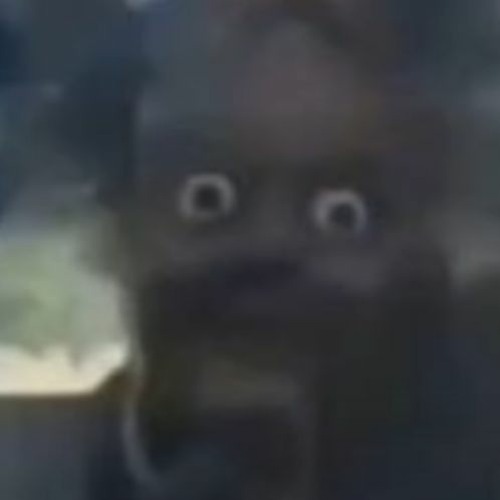 bonkers staple gun (BASS BOOSTED) Listen to music