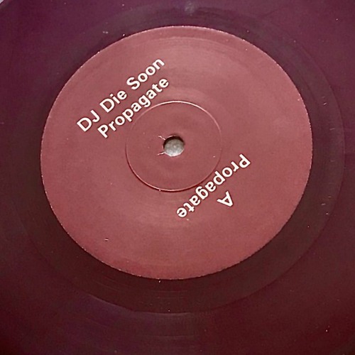 DJ DIe Soon - Propagate - doser037