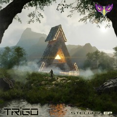 TRIGO - Stellar [FUXWITHIT Premiere]