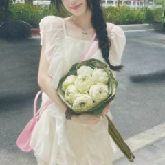 Hà nội nghìn năm văn vở, văn anh hơi dở nhưng mà ...