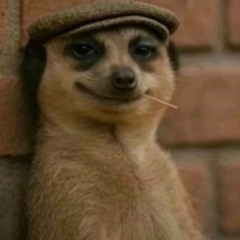 Bullshit (prod. Kitchen Flipper)