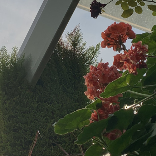 you know when u got song ideas then u just voice memo and immediately try record that me