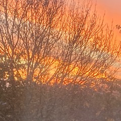 To Sing A Country Song