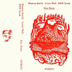 NTR076 - Damon Smith - Louis Wall - NNN Cook - Fire Point - [Meld]